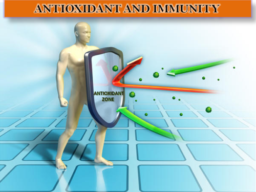 antioxidants and immunty