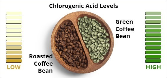 How To Use Green Coffee Powder? – Chereso Health