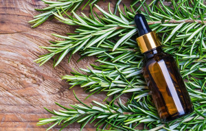 rosemary extract pulmostrong